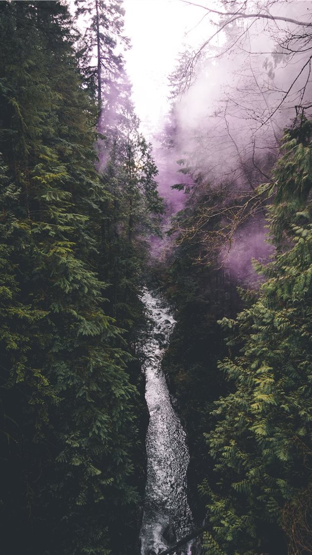 1080x1920 Vancouver  Canada - fog iPhone 8 Wallpaper