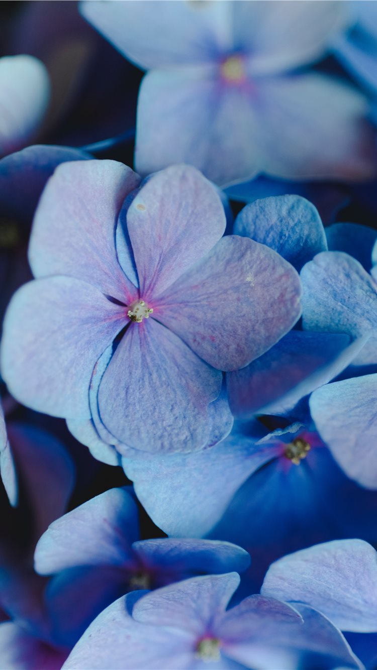 Featured image of post Aesthetic Periwinkle Blue Background