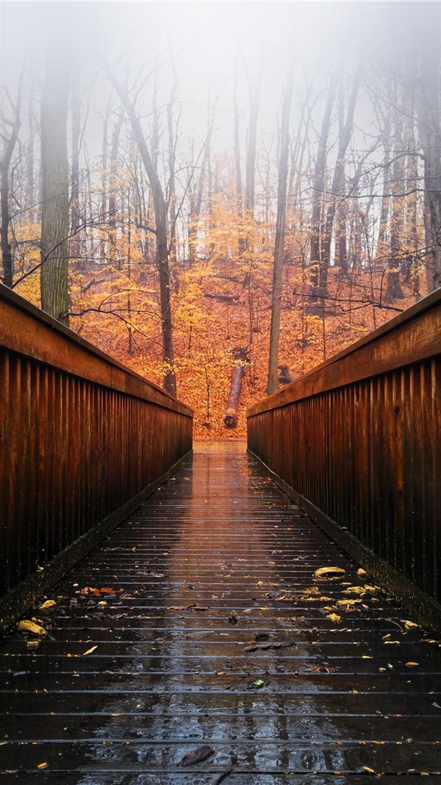 1080x1920 Arlington  United States - fall iPhone 8 Wallpaper