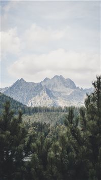 Rockn´roll wallpaper