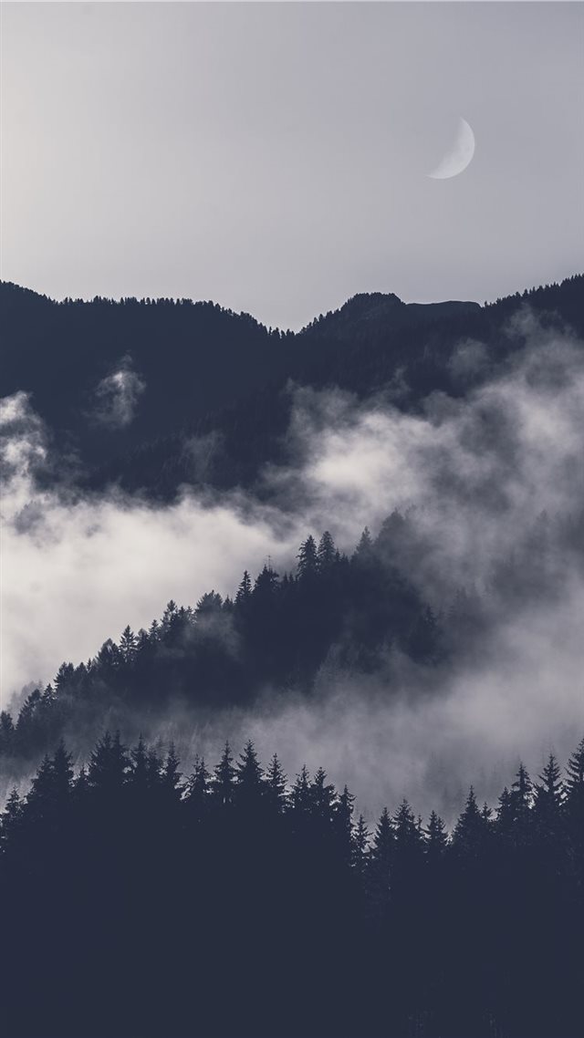 1080x1920 Waxing moon - mobile wallpaper iPhone 8 Wallpaper