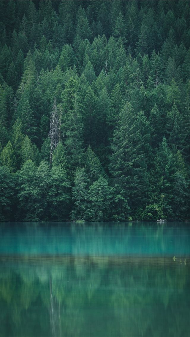 1080x1920 Forest reflection at Diablo Lake - forest iPhone 8 Wallpaper