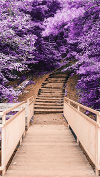 Discovering Purple wallpaper