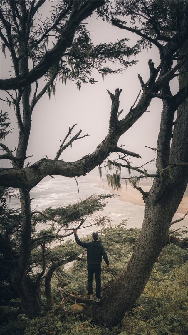 1080x1920 Neskowin  United States - wild iPhone 8 Wallpaper