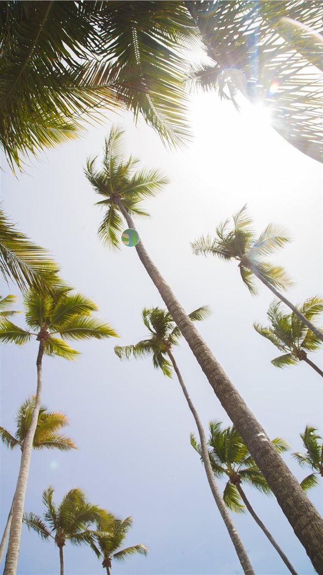 1080x1920 Summer Fun - tropical iPhone 8 Wallpaper