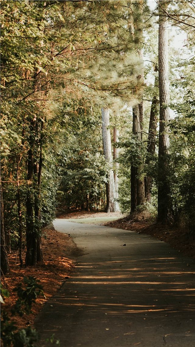 1080x1920 Just walk - beauty iPhone 8 Wallpaper