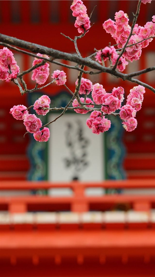 1080x1920 kiyomizu temple in a early morning - spring iPhone 8 Wallpaper
