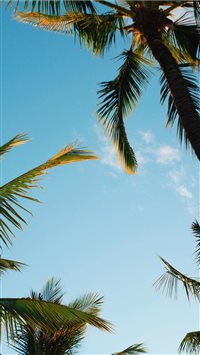 Kihei United States iPhone 6(s)~8(s) wallpaper