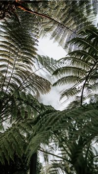 Sky Garden wallpaper