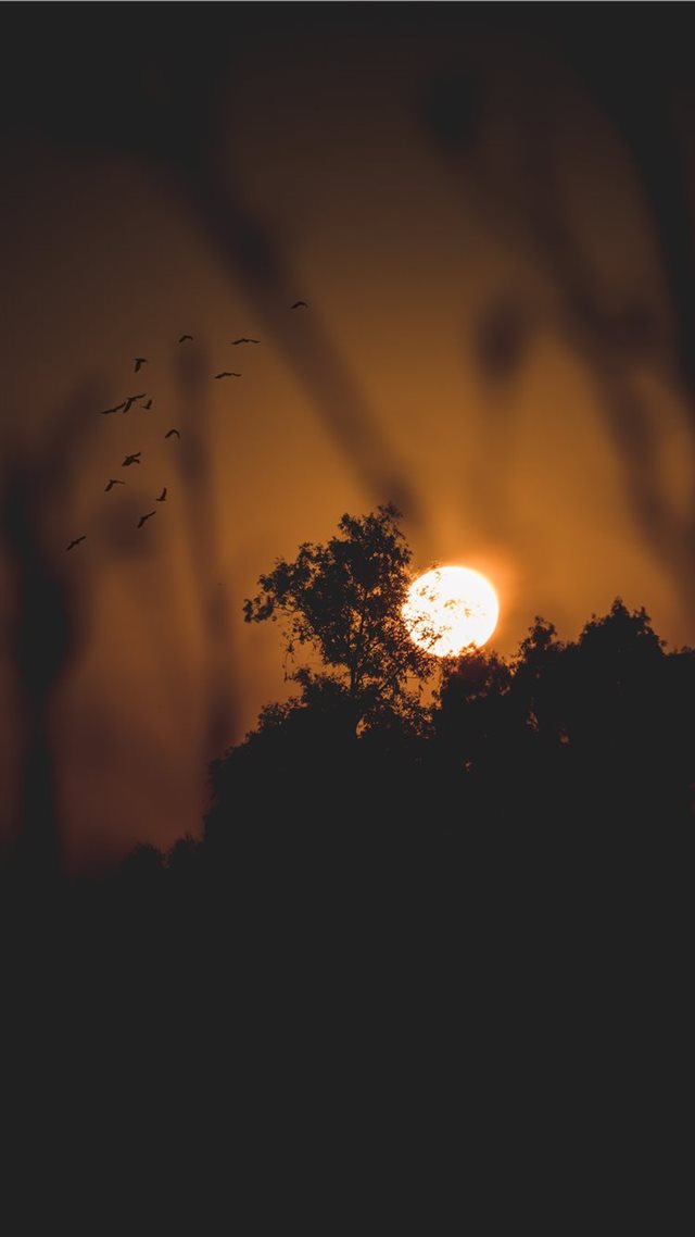1080x1920 Nature Sunset - beautiful iPhone 8 Wallpaper