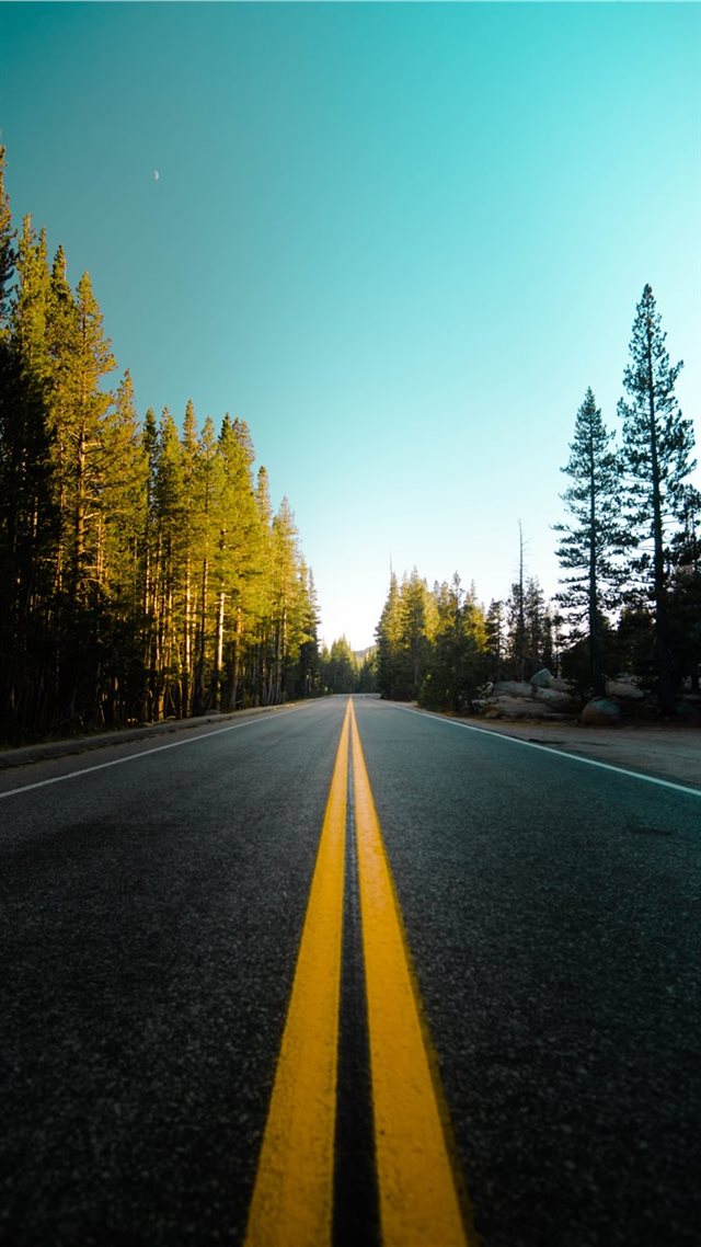 1080x1920 Driving Through the Woods - road iPhone 8 Wallpaper