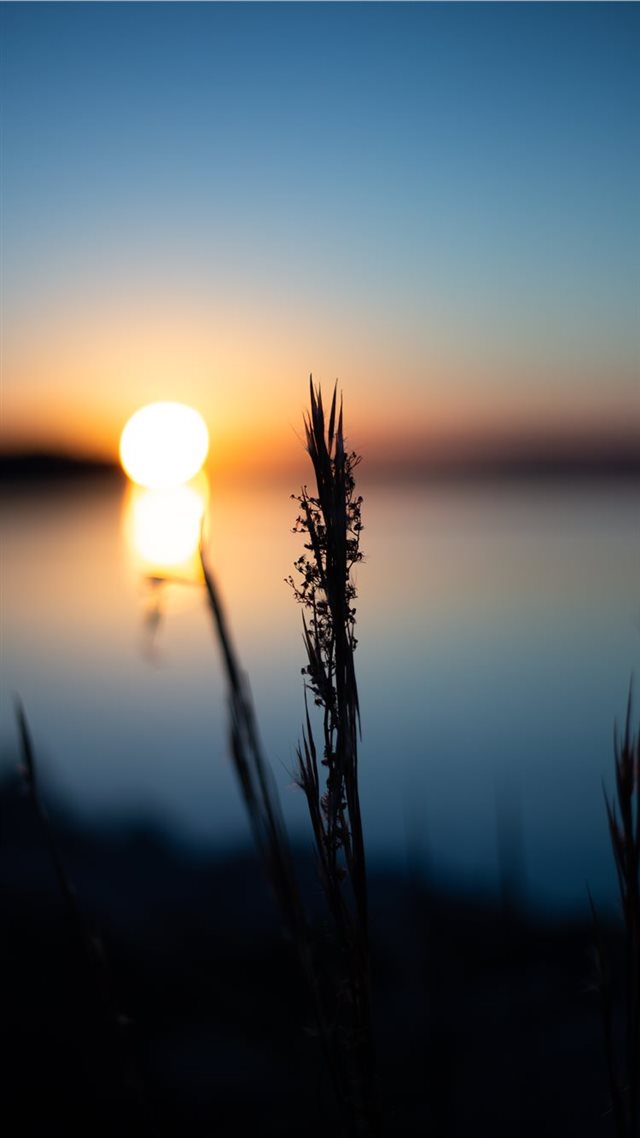 1080x1920 Sunset on the lake - sun iPhone 8 Wallpaper