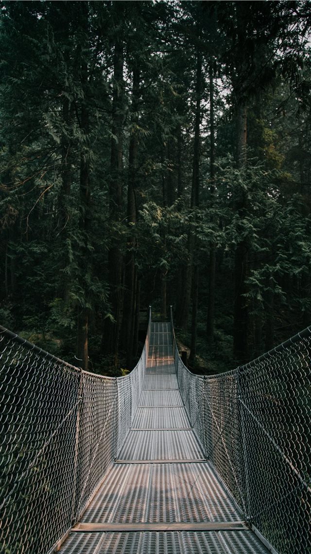 1080x1920 bridge - bridge iPhone 8 Wallpaper