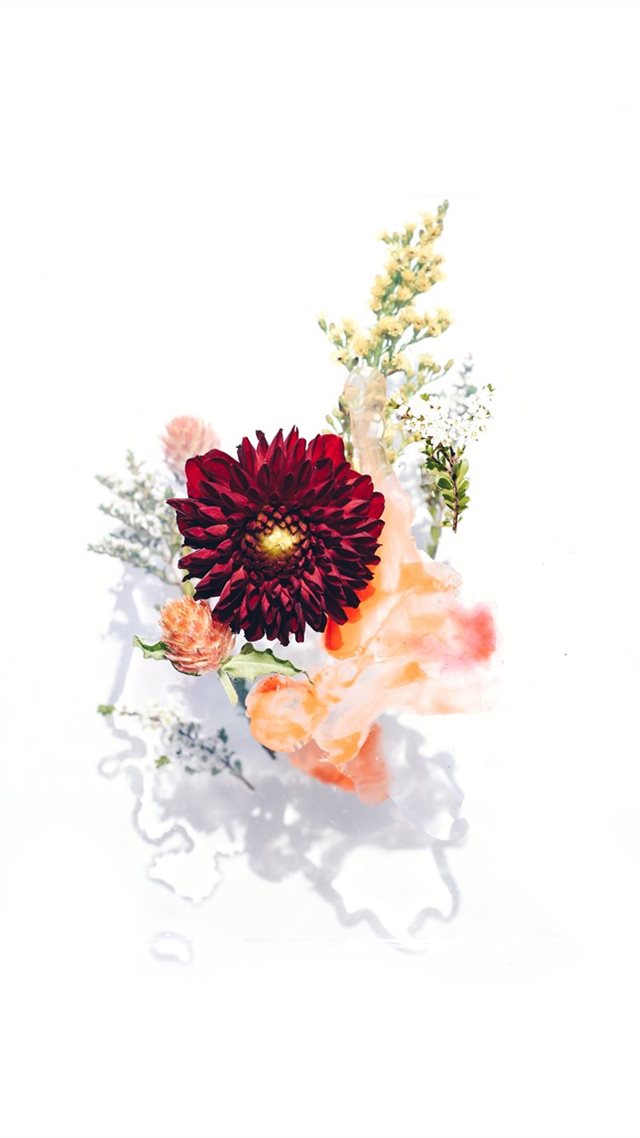 1080x1920 Florals arranged on glass - background iPhone 8 Wallpaper