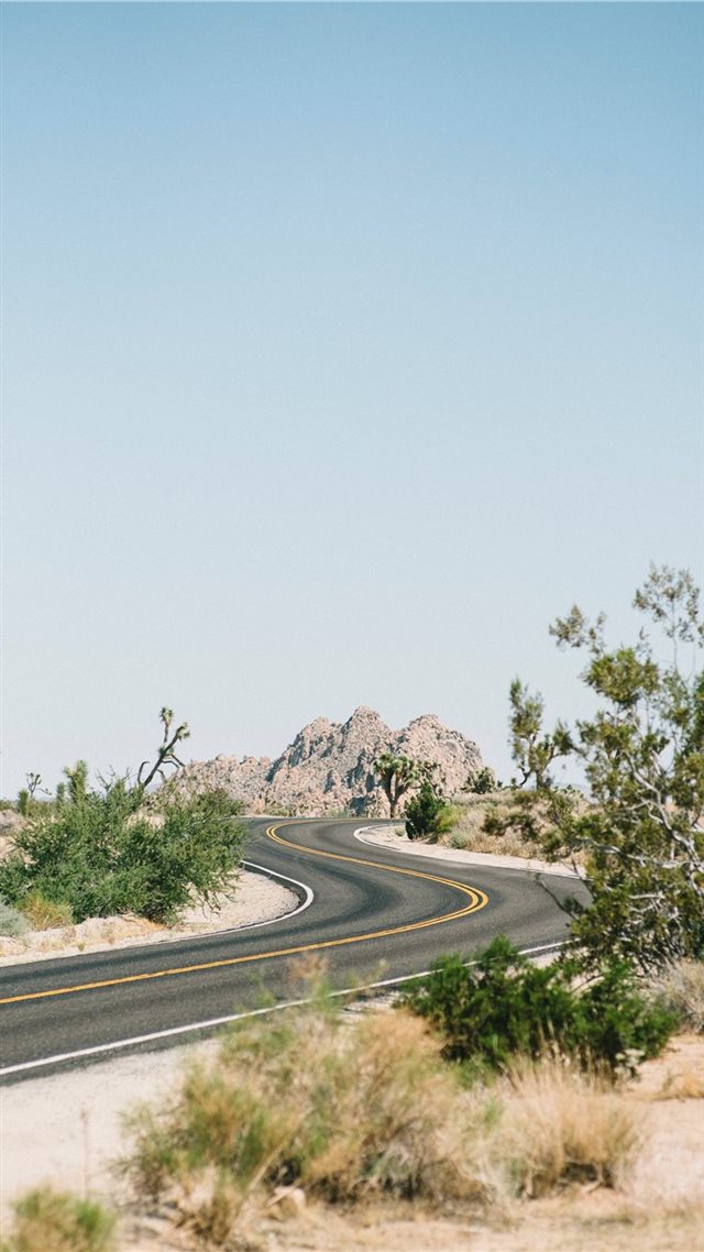 1080x1920 Joshua Tree National Park  United States - nature iPhone 8 Wallpaper