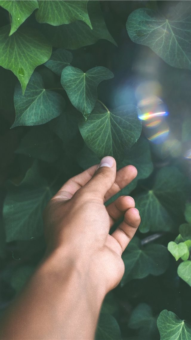 1080x1920 Goodbye - leafe iPhone 8 Wallpaper