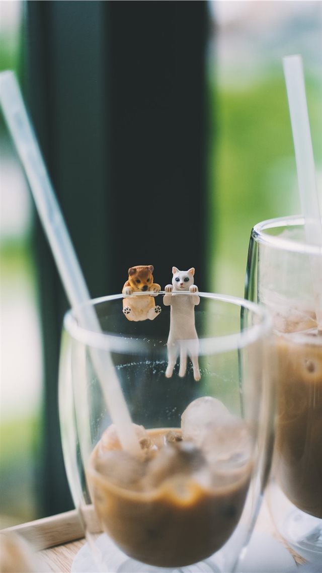 1080x1920 Dog and Cat - miniature iPhone 8 Wallpaper