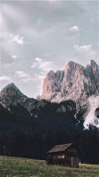 Summer morning wallpaper