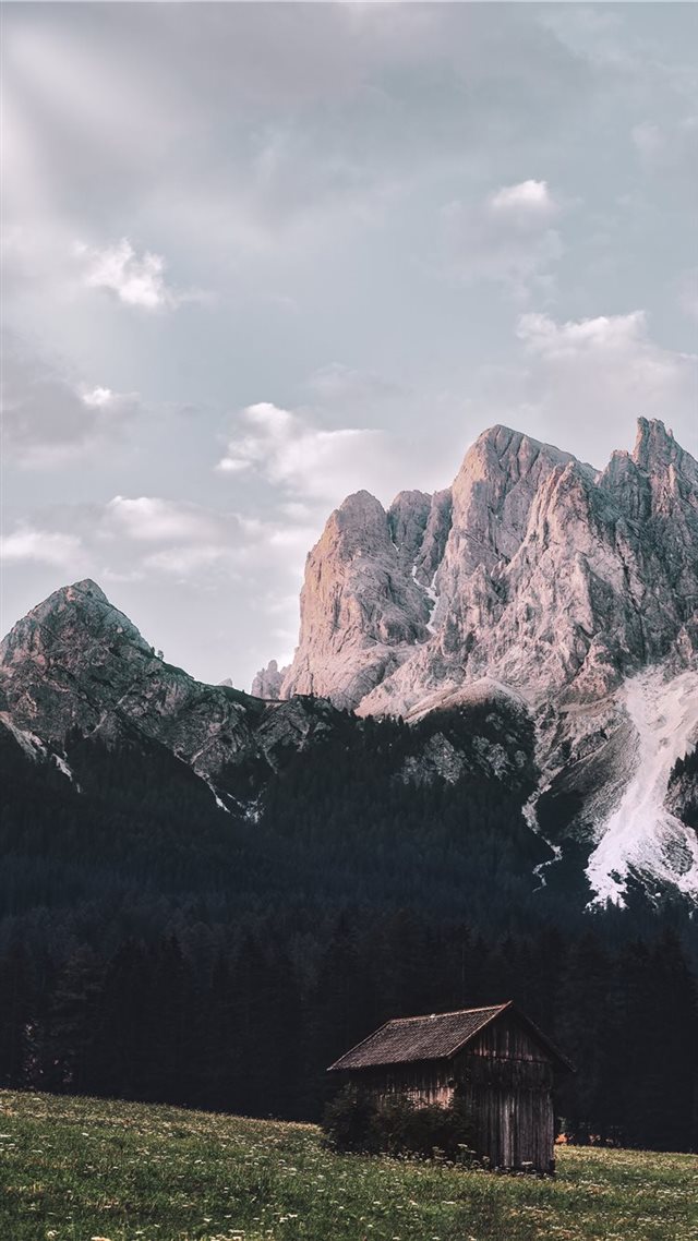 1080x1920 Summer morning - hd wallpaper iPhone 8 Wallpaper