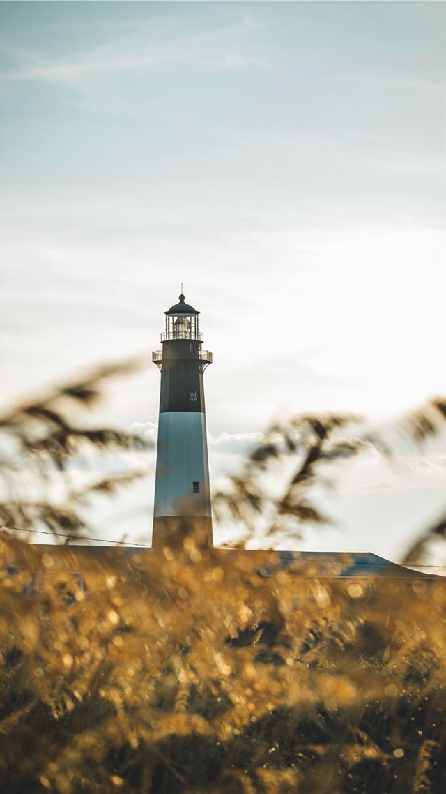 1080x1920 Lost in Tybee - ocean iPhone 8 Wallpaper