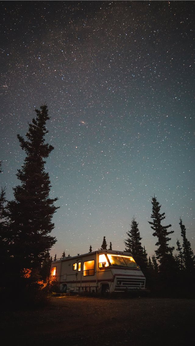 1080x1920 Lost in the Woods - night iPhone 8 Wallpaper