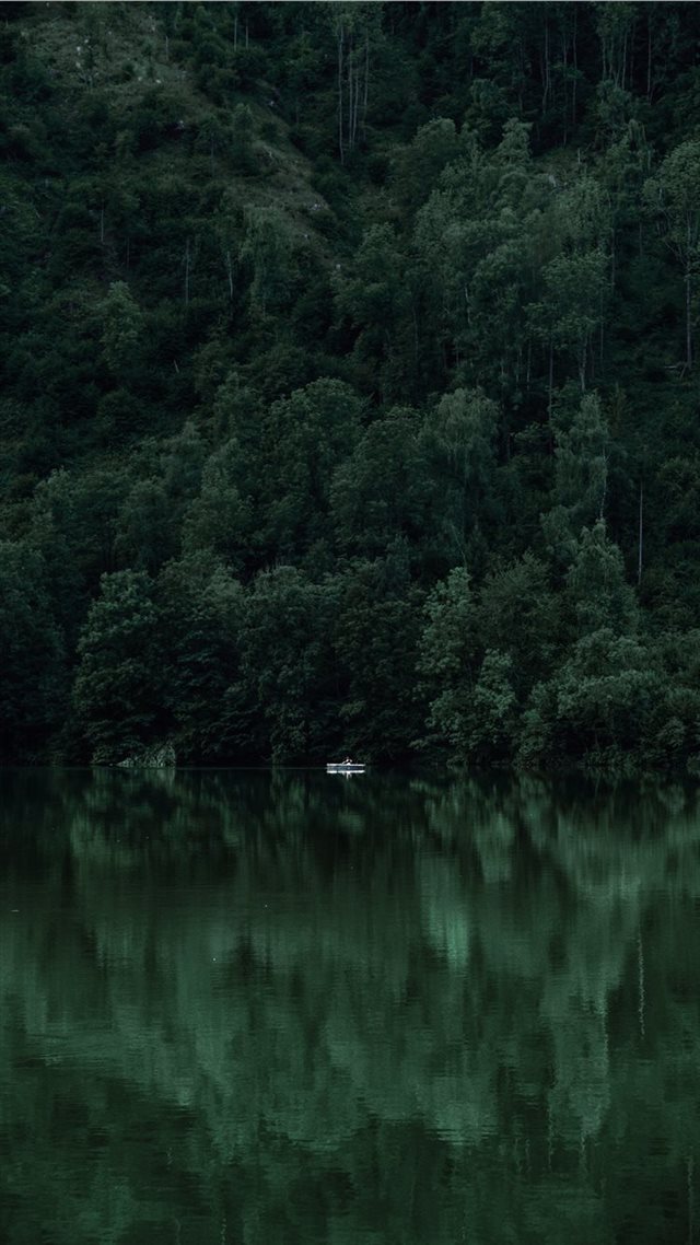 1080x1920 Nothing to Hide - boat iPhone 8 Wallpaper