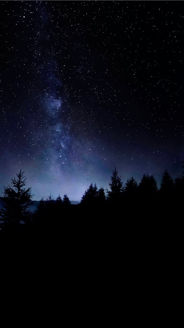1080x1920 A Night Painting - tree iPhone 8 Wallpaper