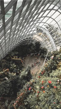 View from the top of the Cloud Forest wallpaper