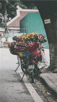 Flower delivery bicycle wallpaper