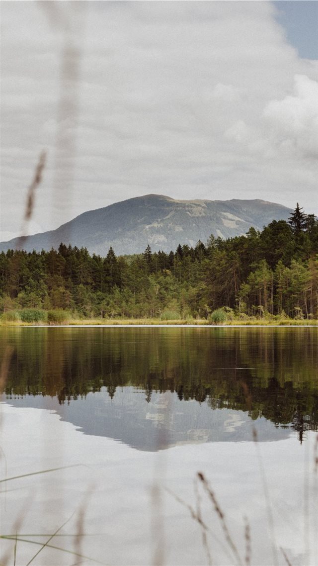1080x1920 lake - tree iPhone 8 Wallpaper
