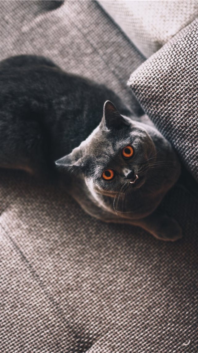 1080x1920 Sleep And Watch - indoor iPhone 8 Wallpaper