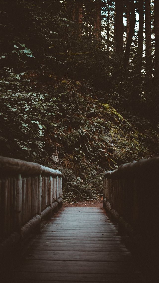 1080x1920 bridge - bridge iPhone 8 Wallpaper