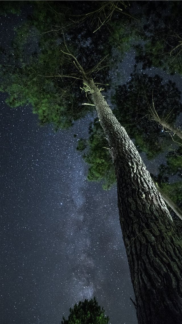 1080x1920 Grayan et l'Hôpital  France - night iPhone 8 Wallpaper