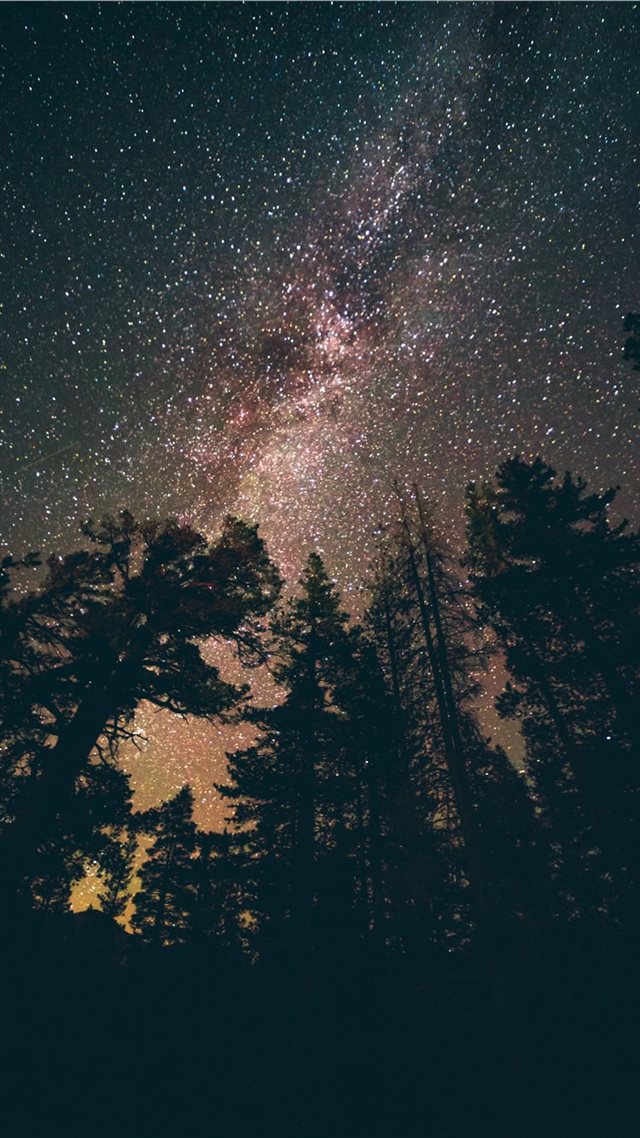 1080x1920 Lake Tahoe  United States - night iPhone 8 Wallpaper