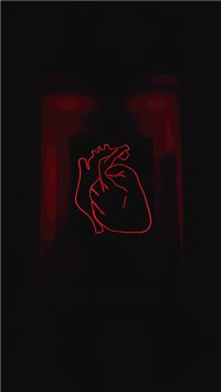 Timișoara  Romania wallpaper