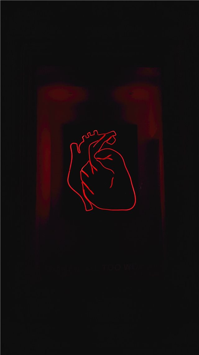 1080x1920 Timișoara  Romania - wallpaper iPhone 8 Wallpaper