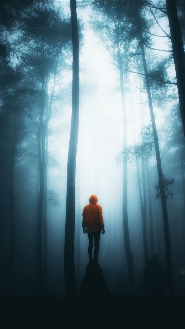 1080x1920 Misty Night - tree iPhone 8 Wallpaper