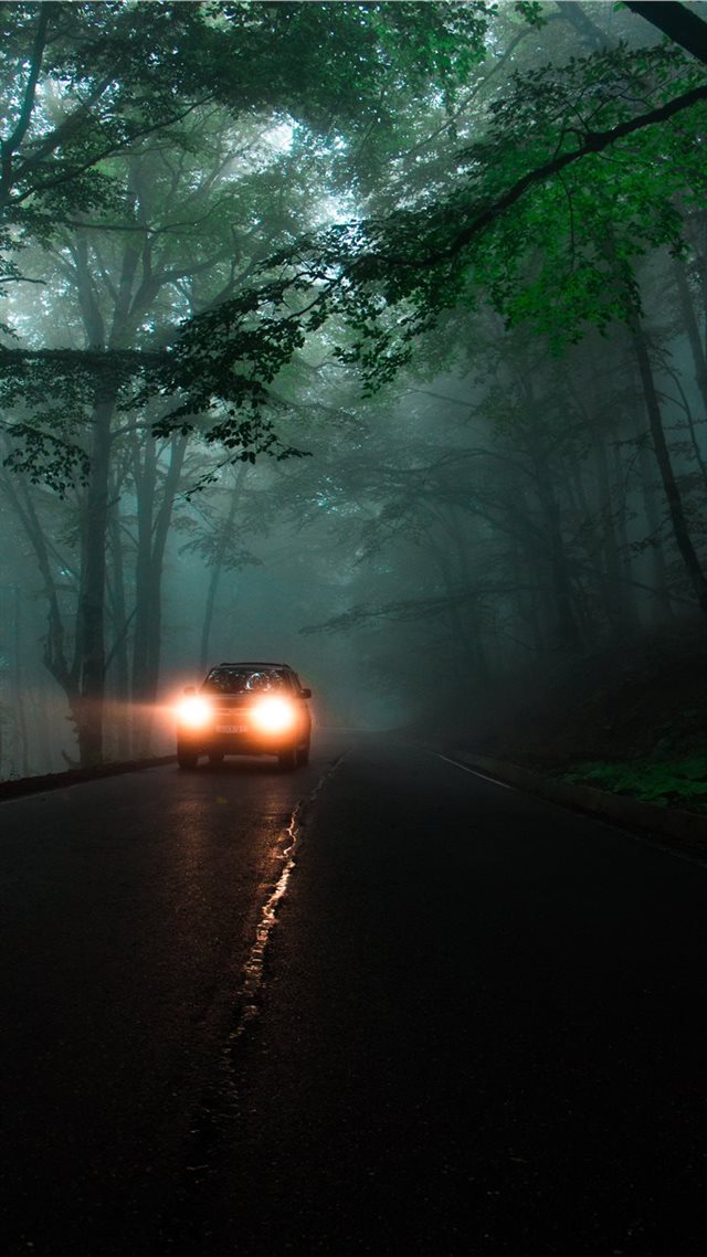1080x1920 Georgia - fog iPhone 8 Wallpaper