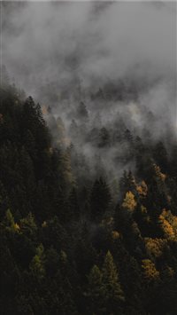 The autumn wallpaper