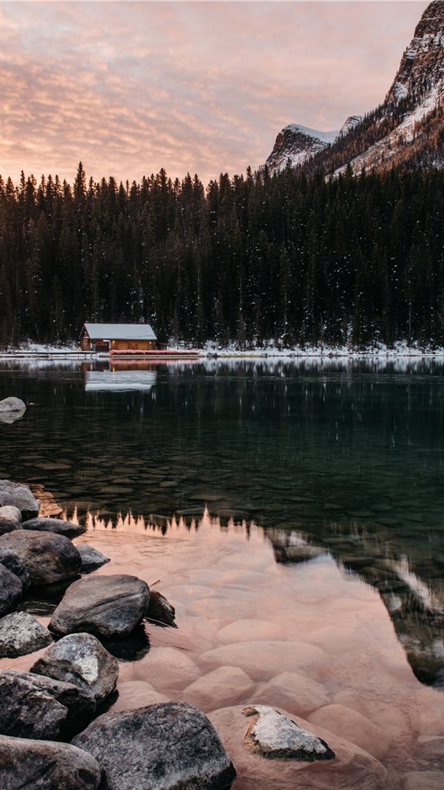 1080x1920 snow - tree iPhone 8 Wallpaper