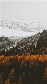 Orange white wallpaper