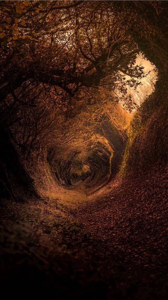1080x1920 Hobbit Shire - sussex iPhone 8 Wallpaper