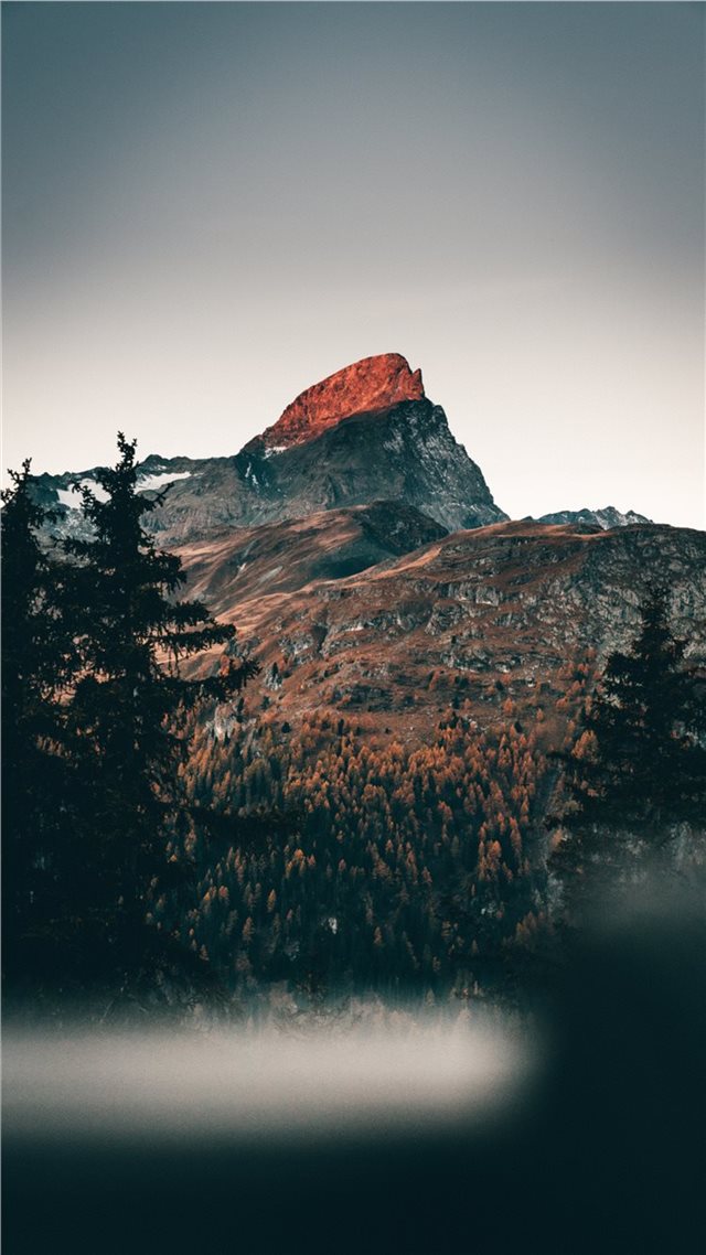 1080x1920 cold mornings in the mountains - woodland iPhone 8 Wallpaper