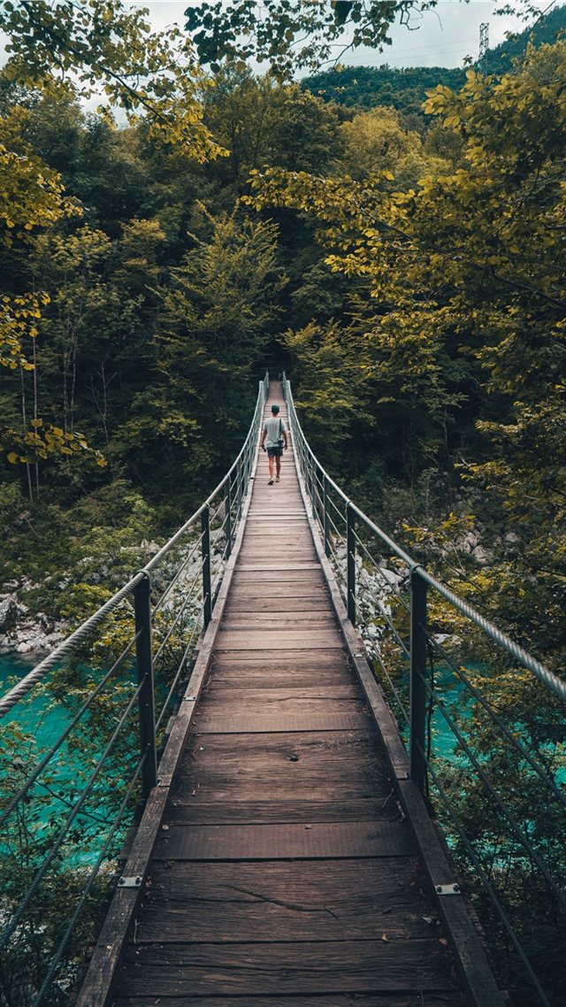 1080x1920 Swing Bridge - wilderness iPhone 8 Wallpaper