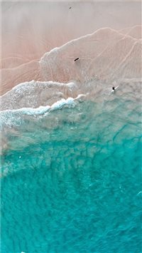 The dog’s dream iPhone 6(s)~8(s) wallpaper