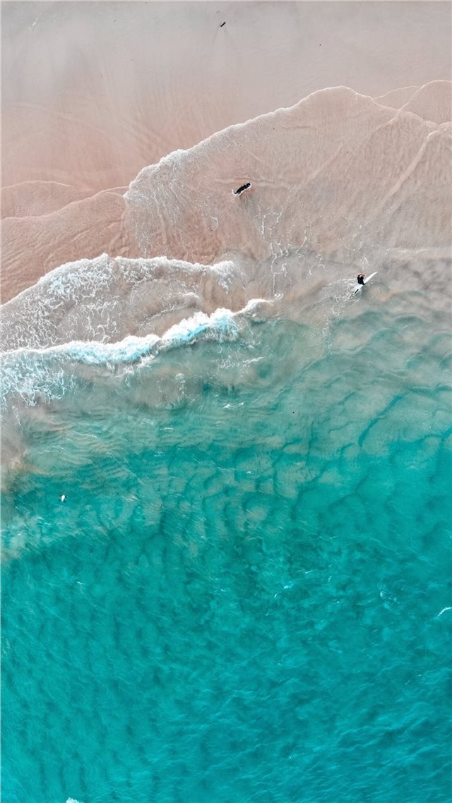 1080x1920 The dog’s dream - australia iPhone 8 Wallpaper