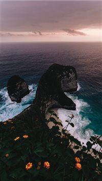 T Rex iPhone 6(s)~8(s) wallpaper