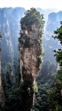 Avatar is real wallpaper