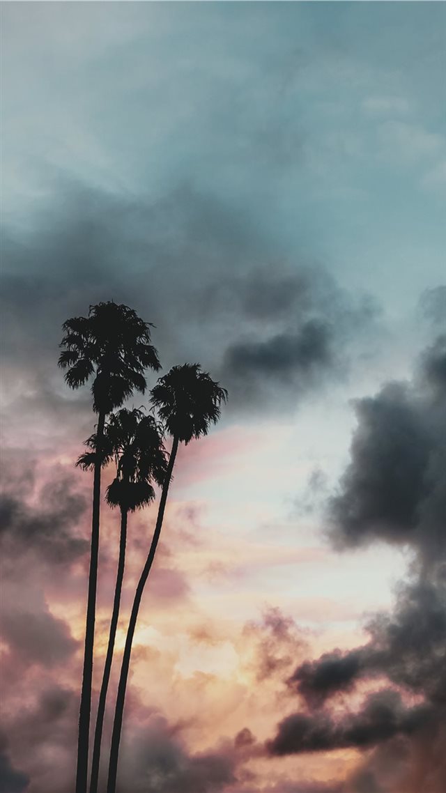 1080x1920 Storms Comin’ - silhouette iPhone 8 Wallpaper