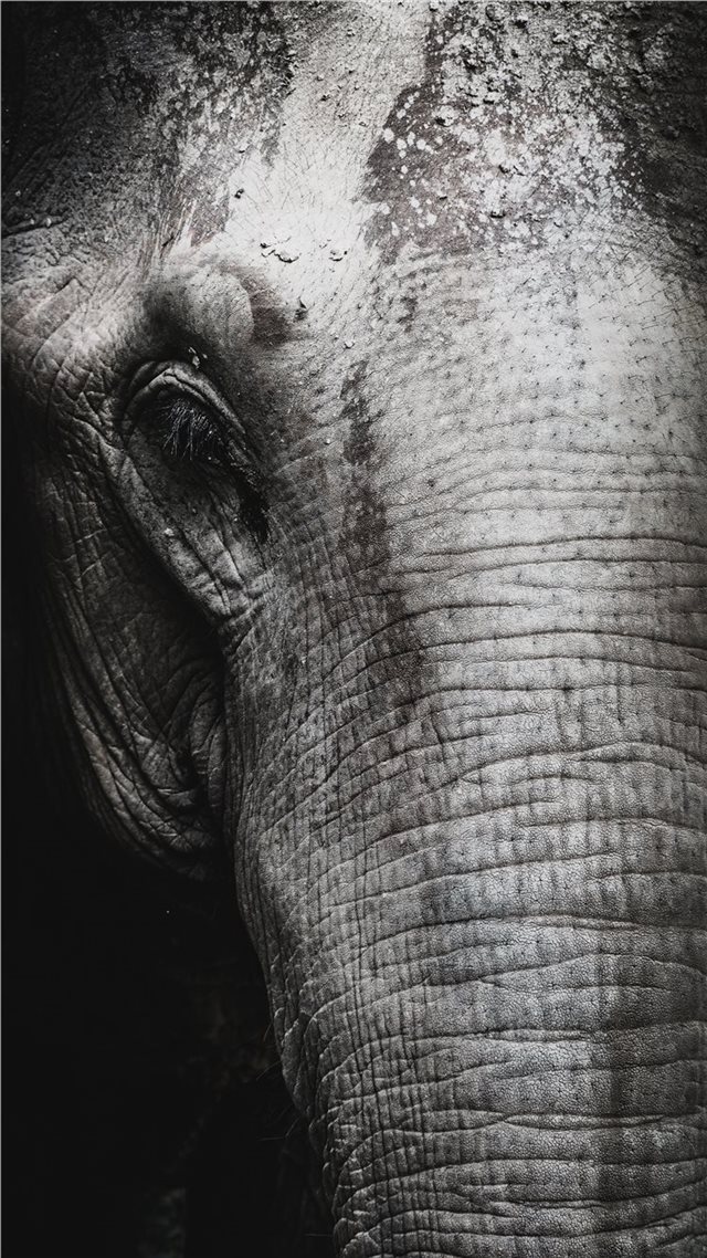 1080x1920 Saved from humanity - portrait iPhone 8 Wallpaper
